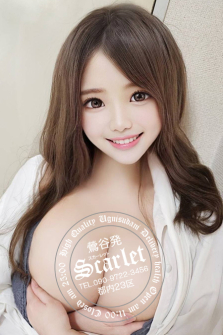 コンパニオンのリスト写真