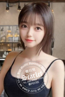 コンパニオンのリスト写真